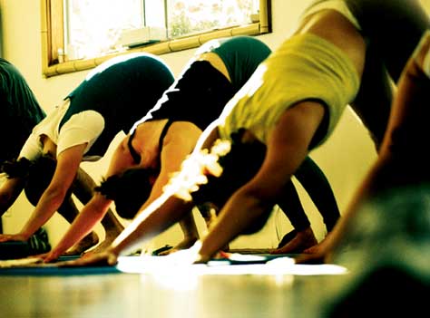 Йога для женщин и мужчин @ Wishingtree Yoga | Ottawa | Ontario | Canada