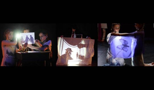 Shadow Theatre Workshop: Level 2 for Adults @ Ottawa | Ontario | Canada